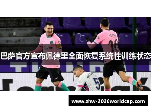 巴萨官方宣布佩德里全面恢复系统性训练状态
