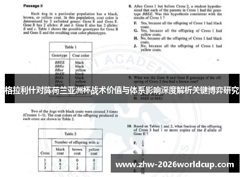 格拉利什对阵荷兰亚洲杯战术价值与体系影响深度解析关键博弈研究